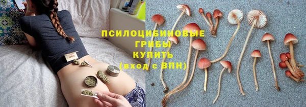 дживик Аркадак